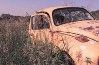 Petites annonces gratuites