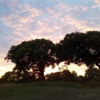 l’agenda de Décembre 2025 une fin d’année plein d’éclat