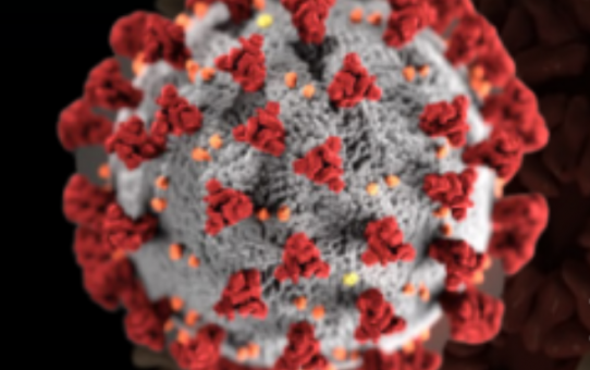 point coronavirus
