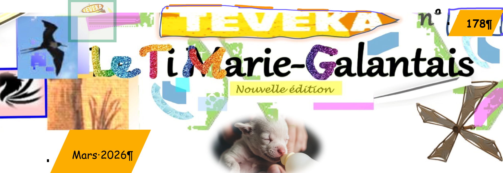 journal marie-galante mas 2026