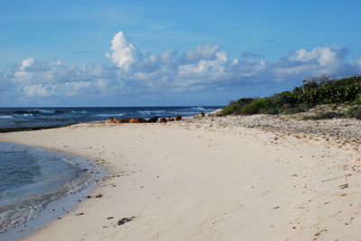 sorties marie galante en juillet