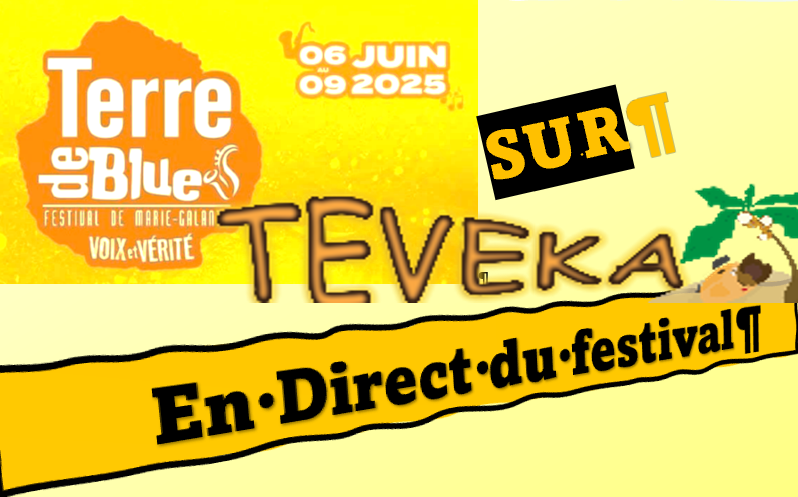 Direct Terre de Blues 2025