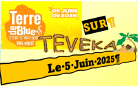 Terre de Blues 2025 : le programme du 5 Juin