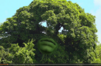 Agenda de Janvier 2026 vous avez festoyé, et bien continuez !