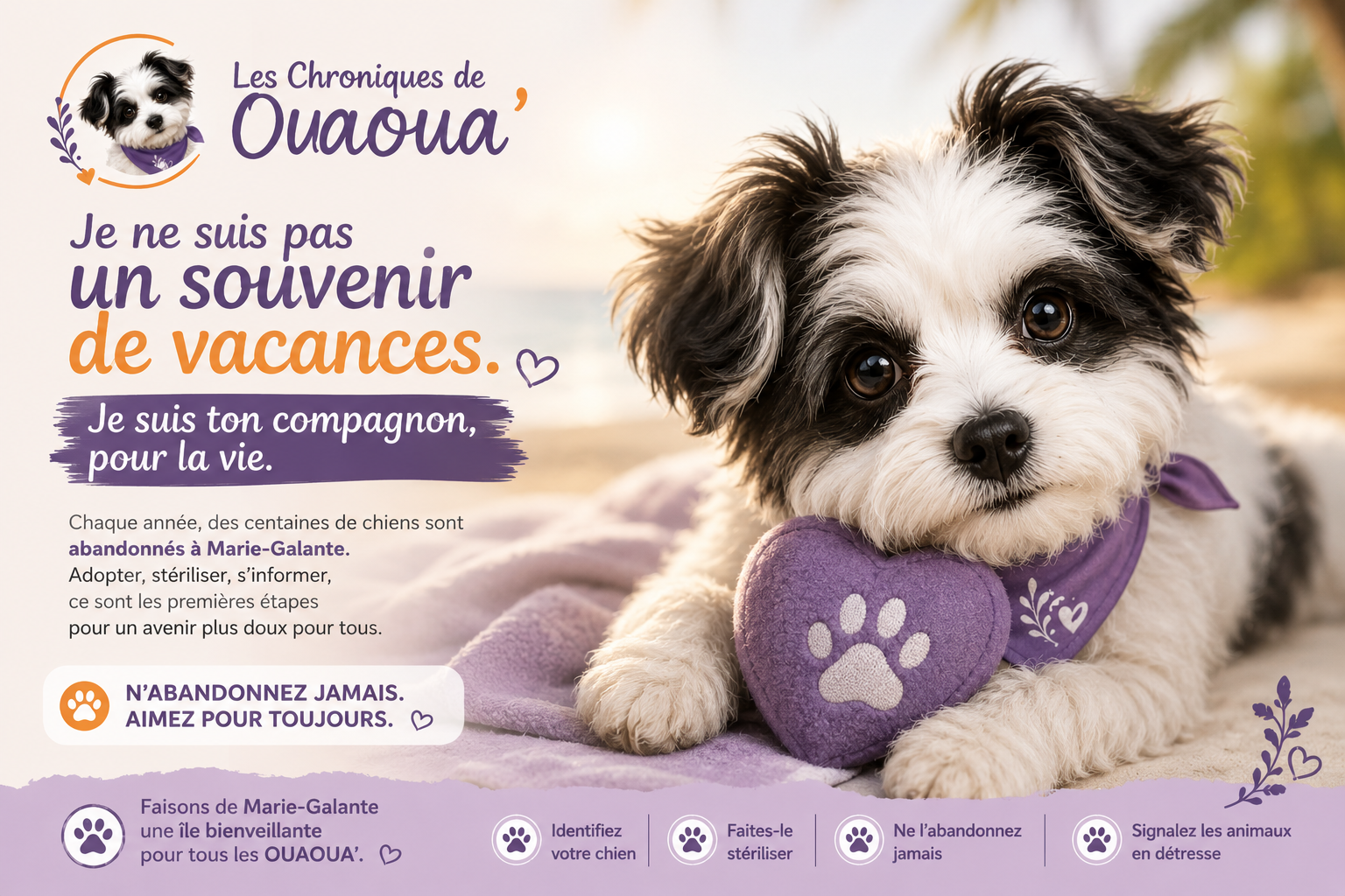 ouaou lutte contre la'aandon animal